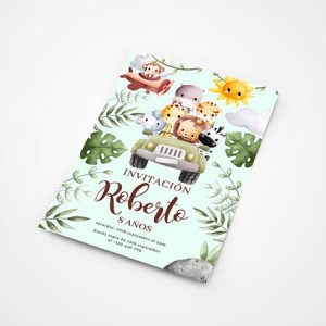 Tarjeta de invitación para cumpleaños impresa a color