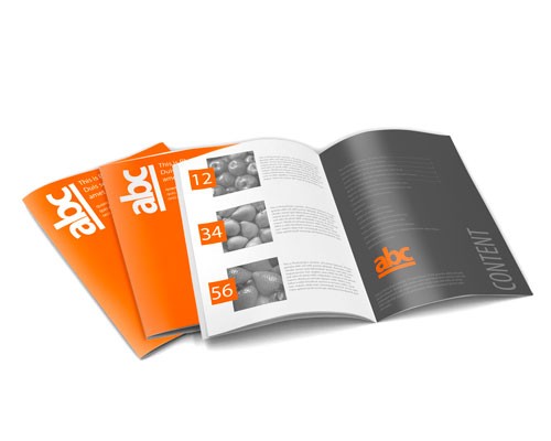 Catálogos y Revistas